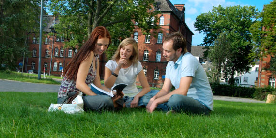 Studieren sitzen auf dem Rasen